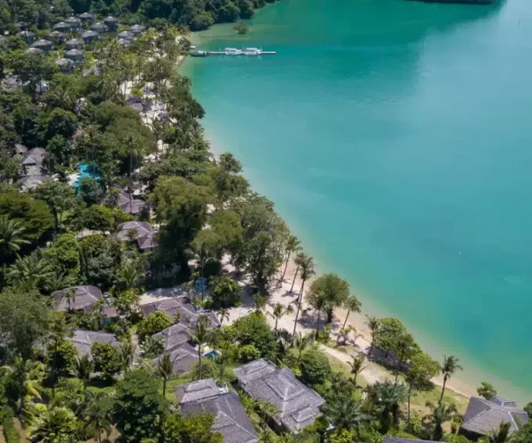 DJI_0057-768x1368